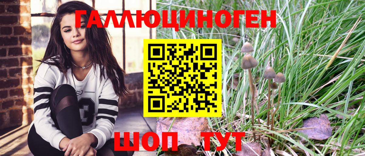 Псилоцибиновые грибы Psilocybe Тула