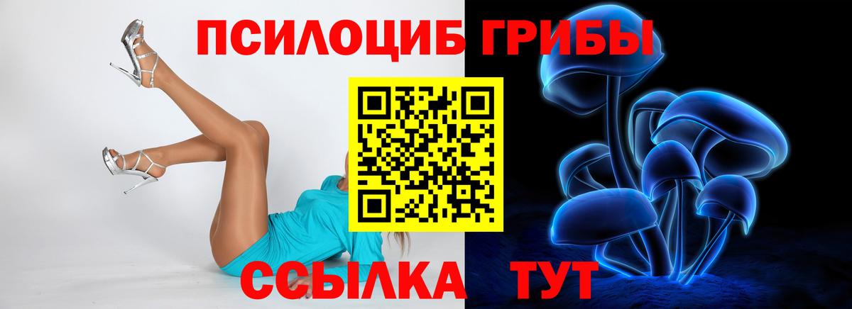 Псилоцибиновые грибы MAGIC MUSHROOMS  Псилоцибиновые грибы MAGIC MUSHROOMS  Вход с VPN  Тула 